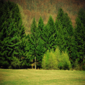 Na lúčke pod horou ...