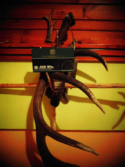 308 win  RWS  9,7g  -150gr
