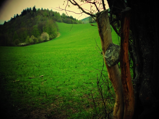 Doplnenie solisk ...