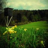 Podvečer nad loviskom ...