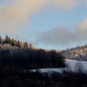 Pod večer na lúkach.