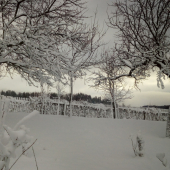 Popri ceste do hory ...