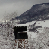 Chodníkom zasneženim  k posedu...