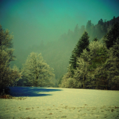 Na lúkach  za hrebeňom ...