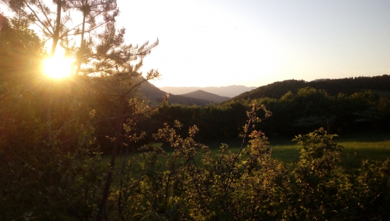 Pod večerná .