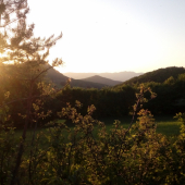 Pod večerná .