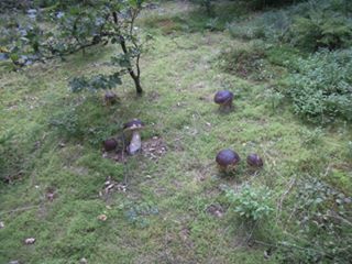 Keď sa podarí, nájsť rodinu.