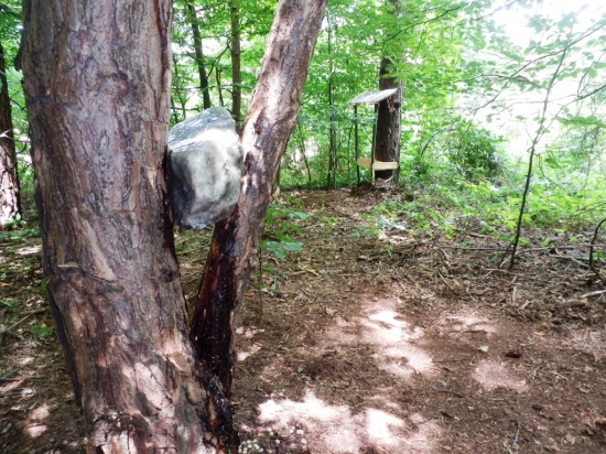 Aby sa mali lepšie.