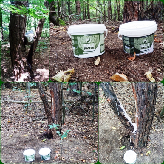 Keď sa stráca - soľ