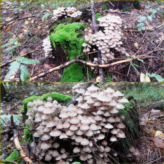 Trochu z iného súdka II.