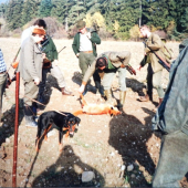 Typický chlapi, Ryšavka a sú všetci hotový, všetky oči na nej!!