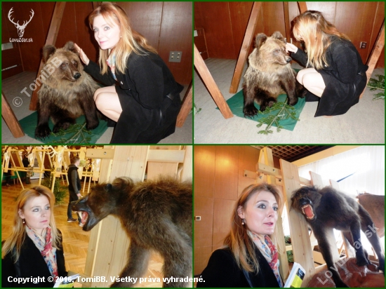SLOVENSKO- krajina krásnych žien, medveďov a niekedy veľkých opíc