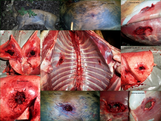 prebíjaný Barnes TTSX 150gr-7x64