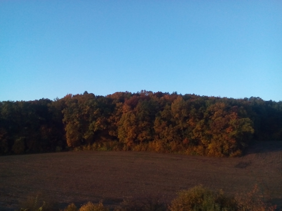 Konečne! Raňajší zázrak, slnko a jasná obloha.