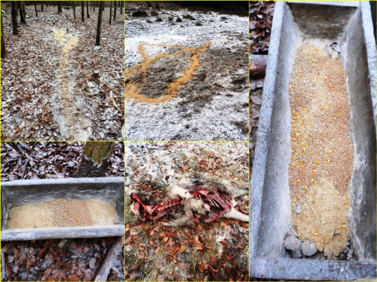 Aby aj oni mali vianoce (prikrmovanie, prechádzka, úhyn)