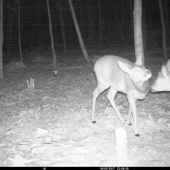 Pekne voniaš! Juuj ty lichotník:-)))