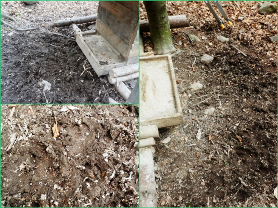 Keď raz nájdu, tak chodia!!!