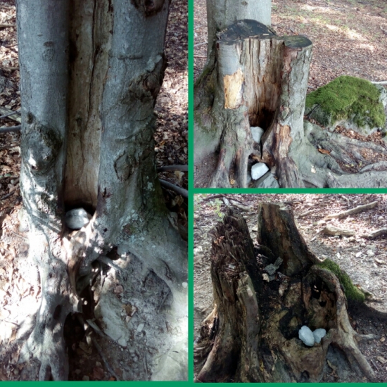 Doplnenie solísk pred rujou.