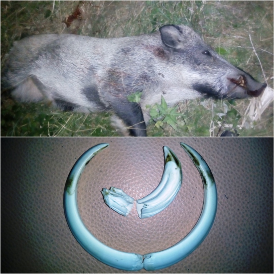 Vypotenie bez sauny, alebo stretnutie so šťastným koncom!
