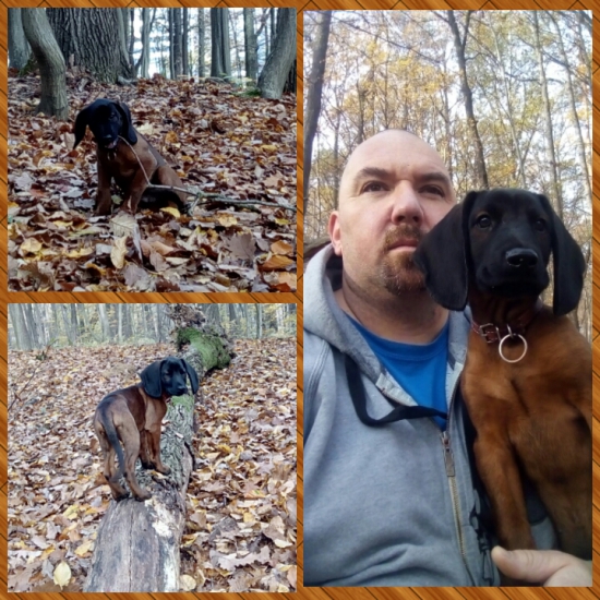 Na prechádzke, dvaja páni!