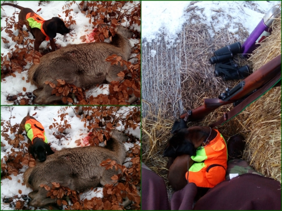 Tak a je to tu!! Premiera:-)