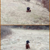 Učíme sa - odloženie, ostaň.