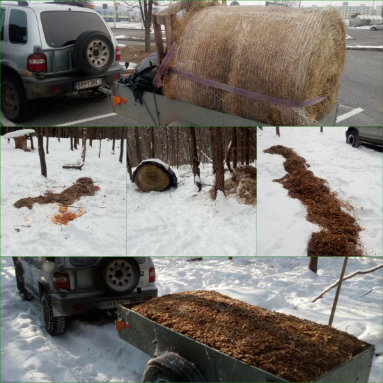 Včera aj dnes, keď povinnosť je radosťou!