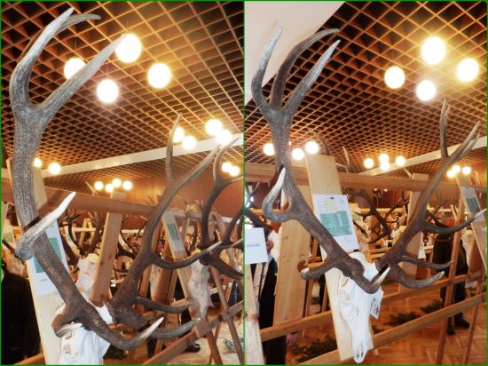 Ten najlepší s podpolianskych združení