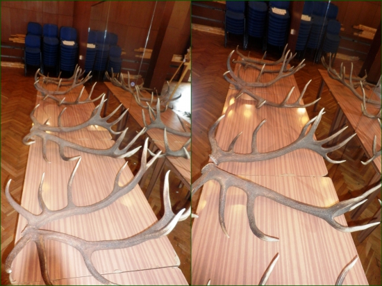 Zhody, ktoré určite potešili!