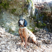 Druhý jarný deň so zimnou výzdobou.