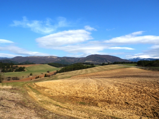 Tam kde som sa stal poľovníkom