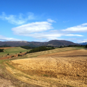 Tam kde som sa stal poľovníkom