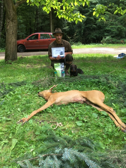 Úspešne absolvované FSMP