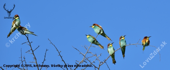 sperky v nasej prirode