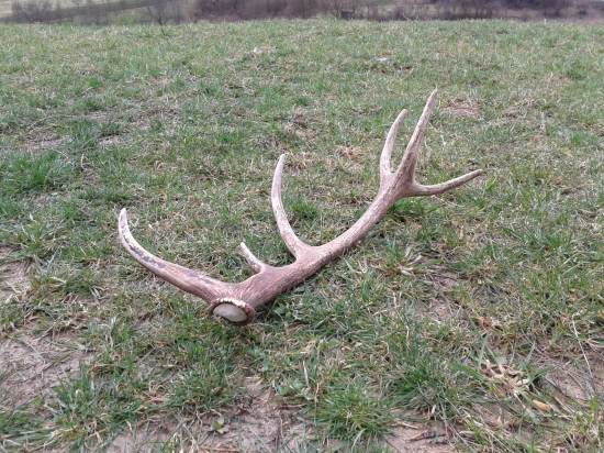 Z auta,cestou do práce 12-torak.