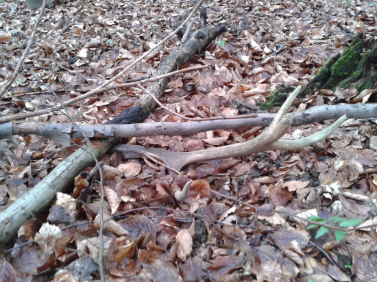 Včerajší priložený 10-torak