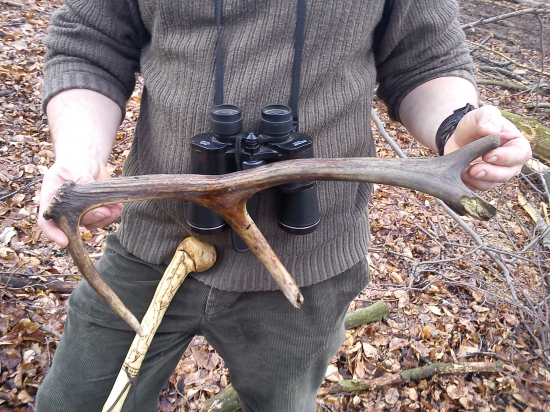 Starší 10-torak z archívu