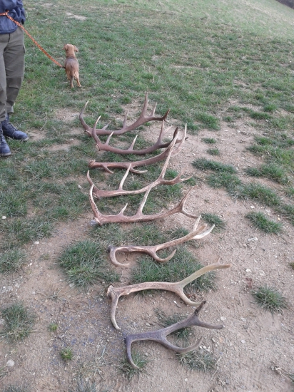 Sezóna 2015  už asi ukončená