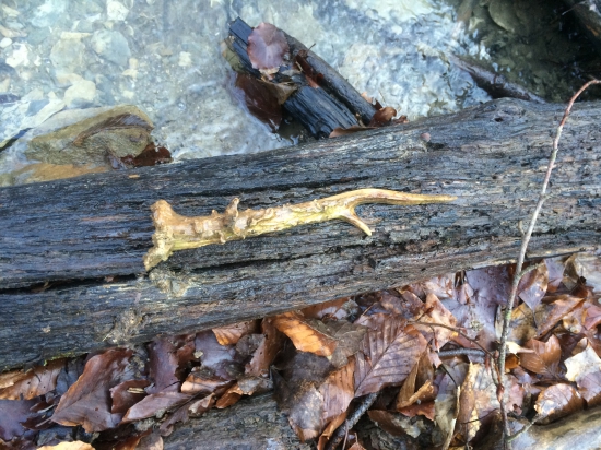 Slabší začiatok ale predsa čosi