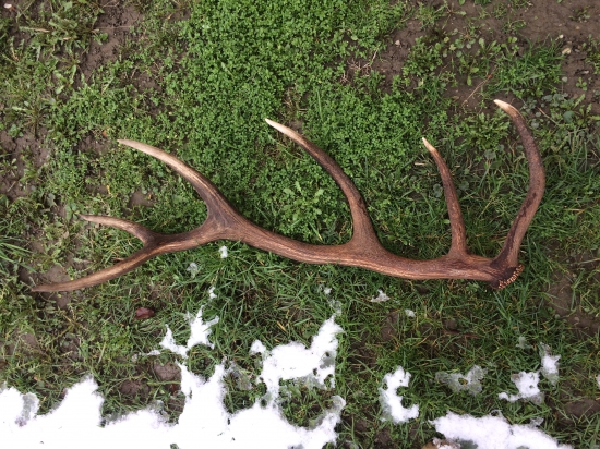 Kamarátov zo včera