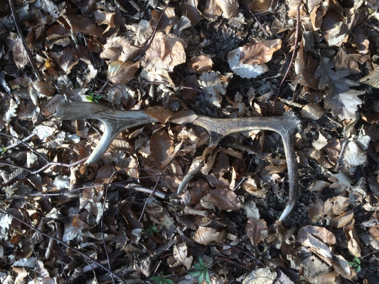 Pondeľkový minuloročný osmák