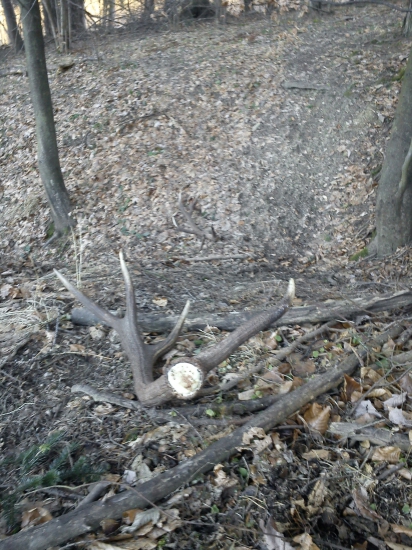 Pára nepr. 12 torak