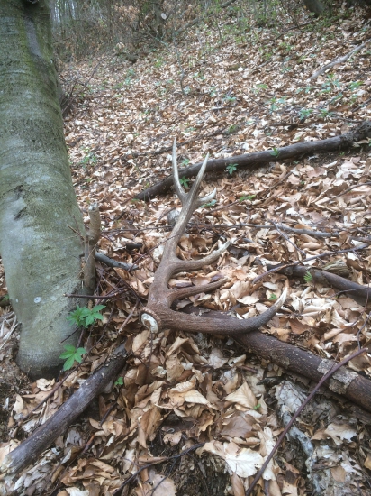 č.2 zo soboty 12-torak po 4 týždňoch do páry