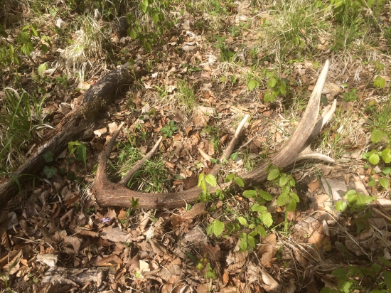 Dnešný dozber č. 1