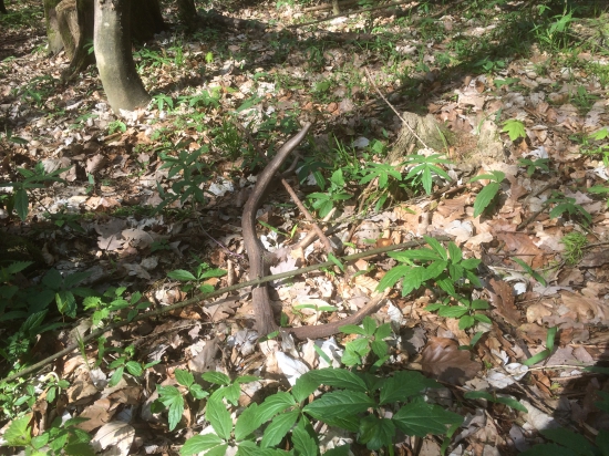 Nedeľný dozber č. 2