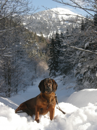 Nera z Ľubochnianskej doliny