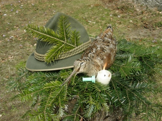 kamarátova r.2009 (už len spomienka)