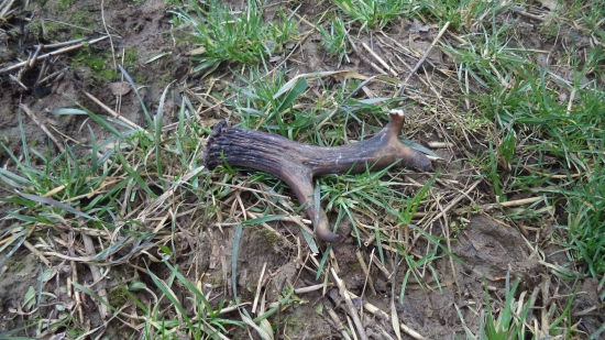 až my srdiečko poskočilo