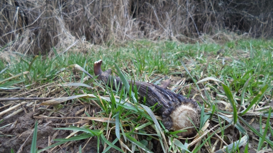 až my srdiečko poskočilo 2