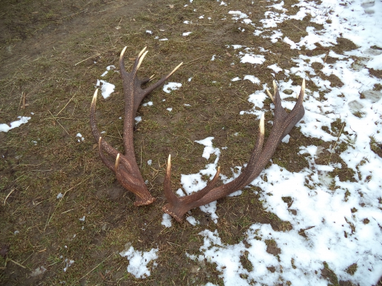 iný pohľad ID257014